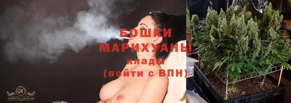 дмт Магас