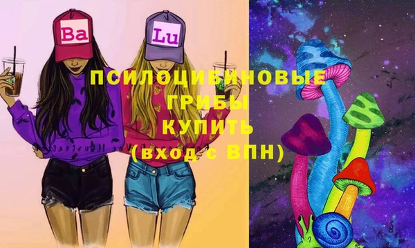 дмт Магас