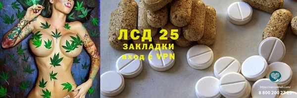 дмт Магас