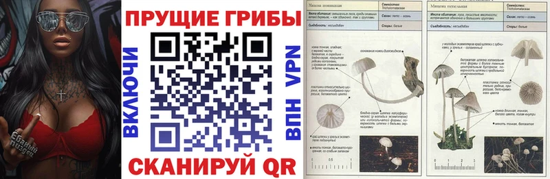 Купить закладки Кумертау Псилоцибиновые грибы Psilocybe